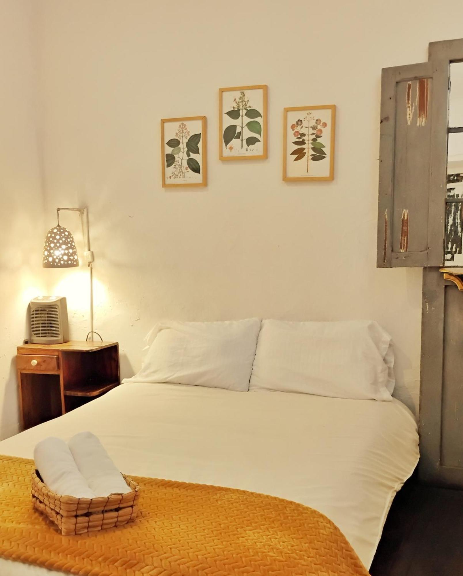 Botanico Hostel ボゴタ エクステリア 写真